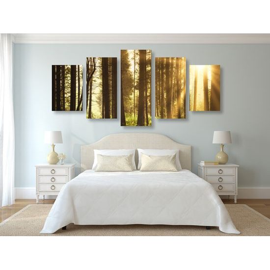 5-dielny obraz slnko predierajúce sa medzi korunami stromov