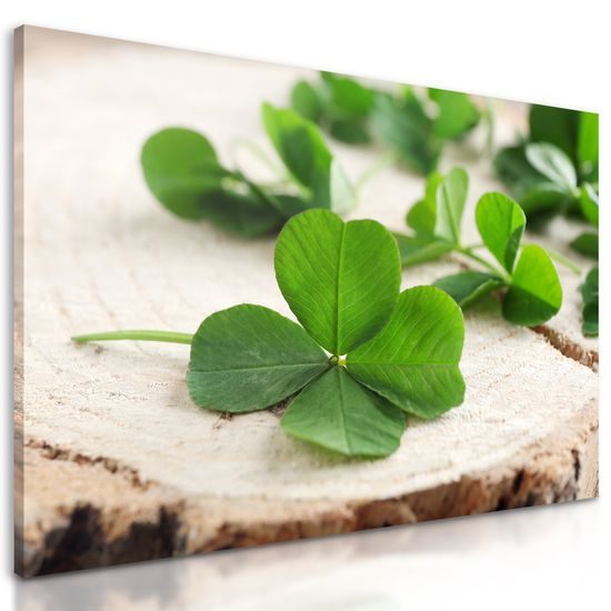 Obraz štvorlístky pre šťastie