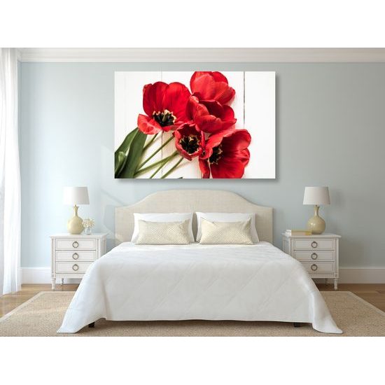 Obraz nádherné tulipány