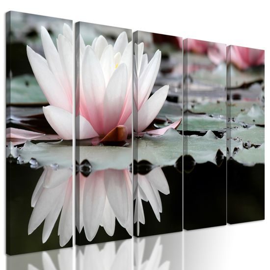 5-dielny obraz nádherné lekno