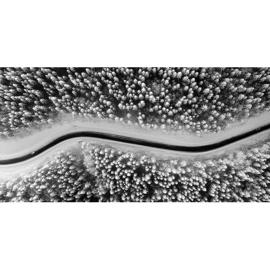 Obraz cesta cez zasnežený les v čiernobielom prevedení