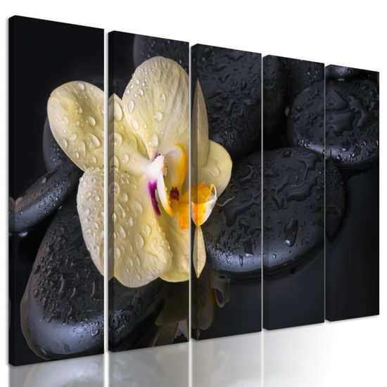 5-dielny obraz lávové kamene a zaujímavá orchidea