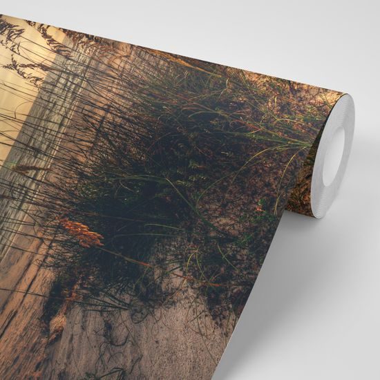 Originálna samolepiaca fototapeta západ slnka z pláže