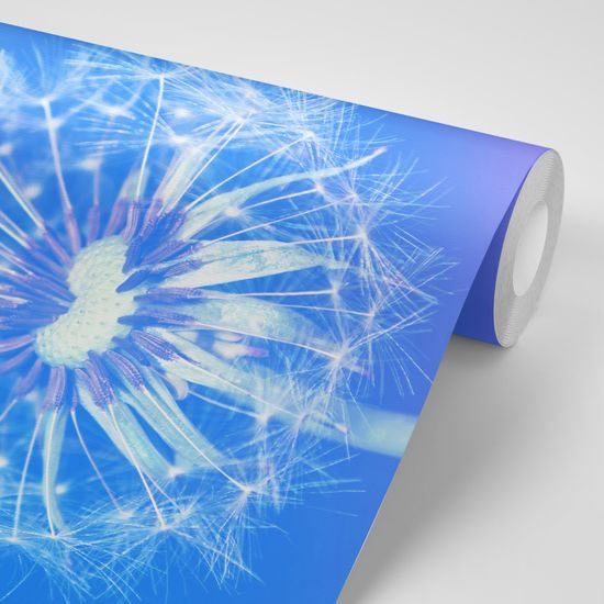 Originálna samolepiaca tapeta púpava s modrým pozadím