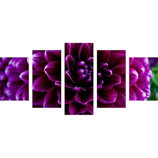 5-dielny obraz ohromný purpurový kvet