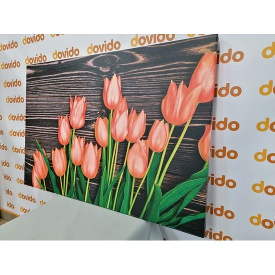 Obraz oranžové tulipány v jarnej záhrade