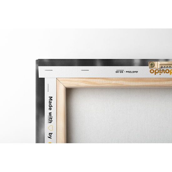 Obraz mladý jeleň uprostred lesa v čiernobielom prevedení