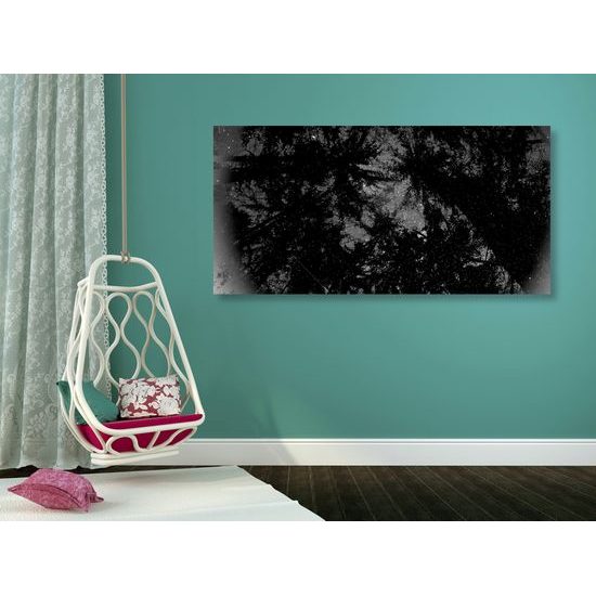 Obraz abstrakcia tropického lesa v čiernobielom prevedení