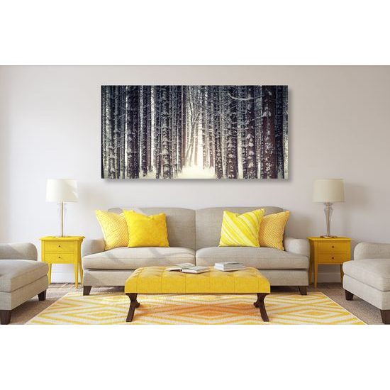 Obraz les v zimnom období