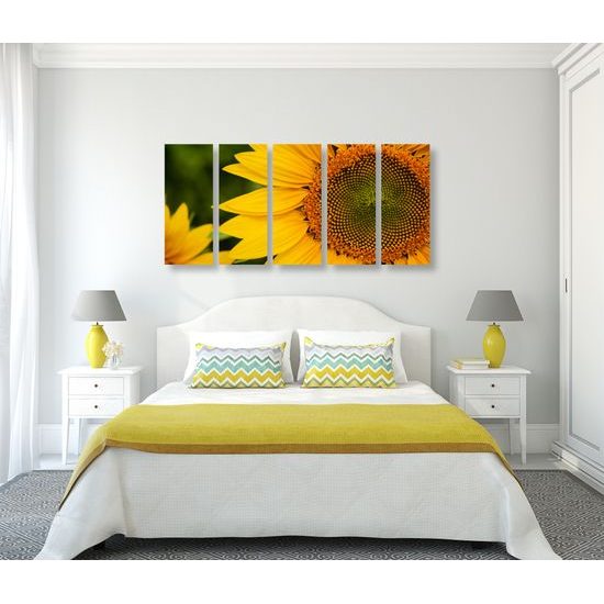 5-dielny obraz detail slnečnice