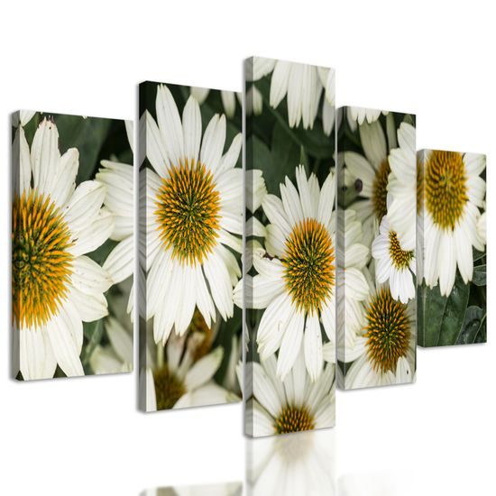 5-dielny obraz liečivý rumanček