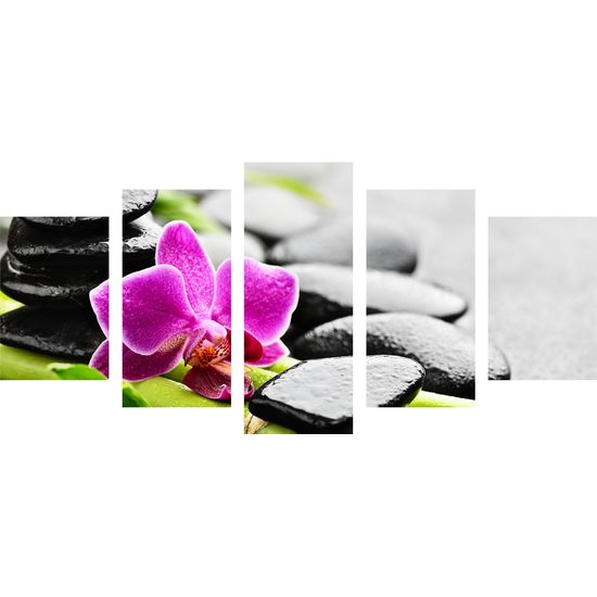 5-dielny obraz wellnes zátišie po daždi