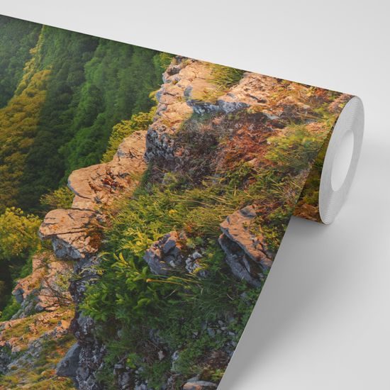 Fototapeta výhľad na krásnu prírodu