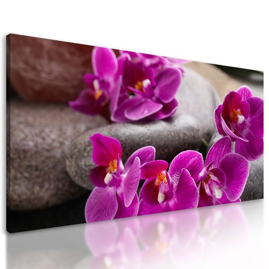 Obraz Feng Shui zátišie s fialovou orchideou