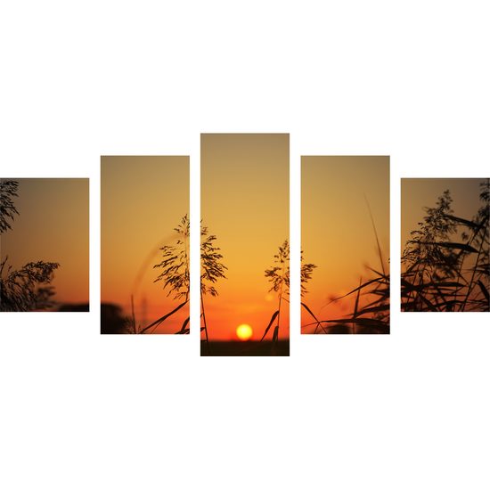 5-dielny obraz západ slnka za steblami trávy