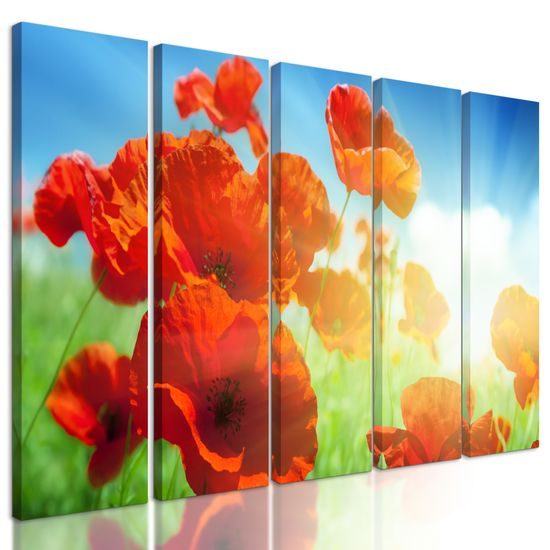 5-dielny obraz červené maky