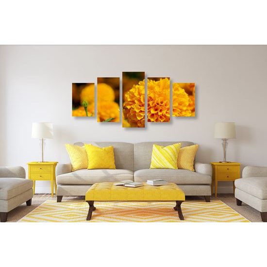 5-dielny obraz oranžový nechtík