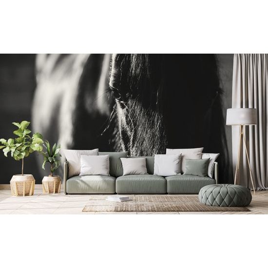 Originálna čiernobiela samolepiaca fototapeta vznešený kôň