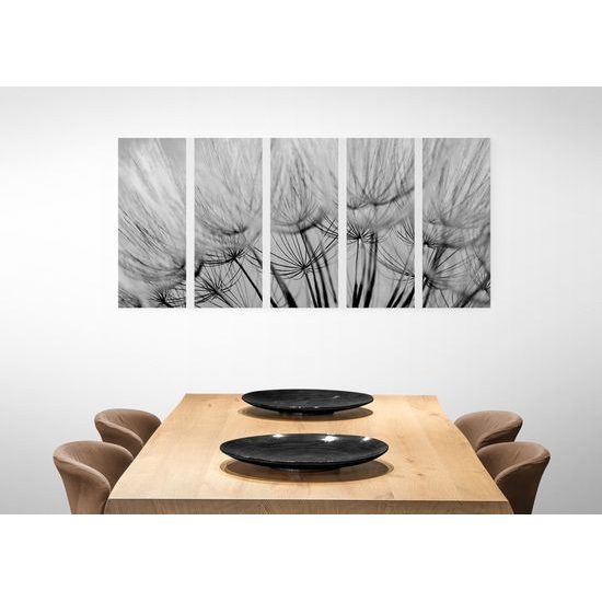 5-dielny obraz presný detail púpavy v čiernobielom prevedení