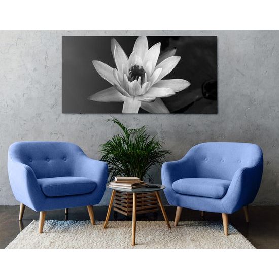 Obraz nádherný ružový lotosový kvet v čiernobielom prevedení