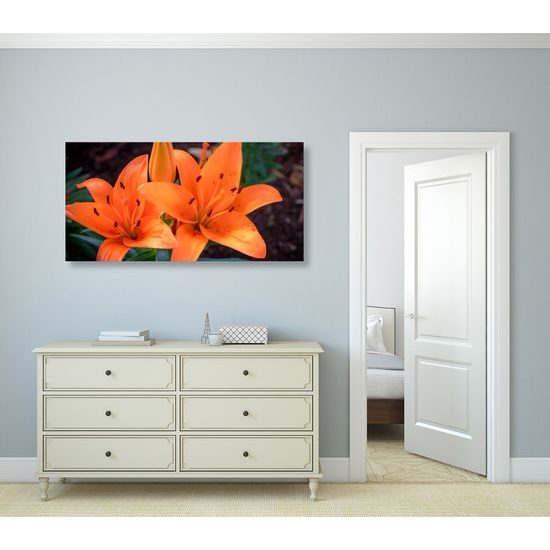 Obraz oranžová dália