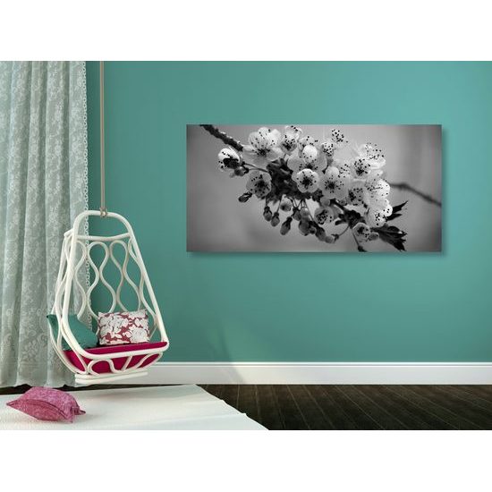 Obraz rozkvitnutá čerenšňa v čiernobielom prevedení