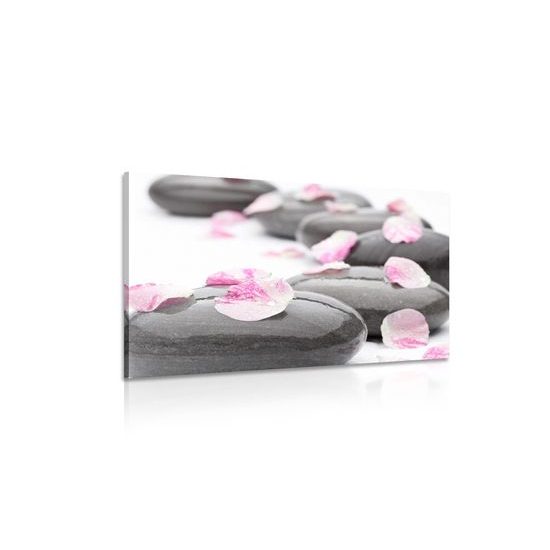 Obraz lupienky kvetu na zen kameňoch