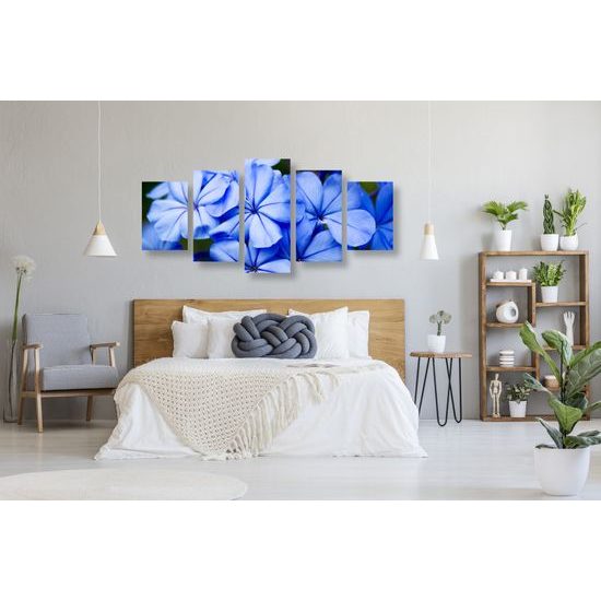 5-dielny obraz krásne nebesky modré kvety