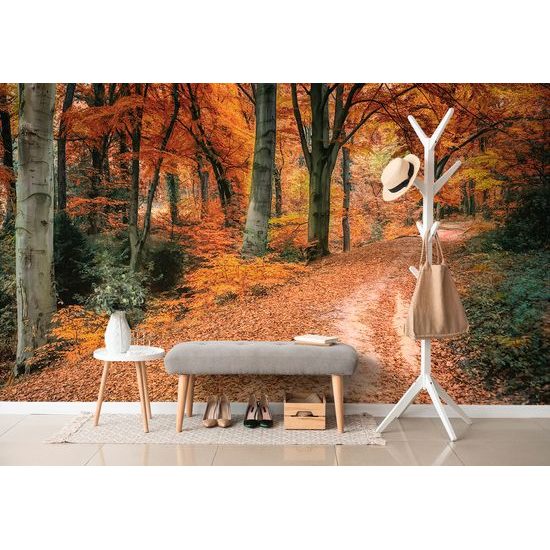 Samolepiaca fototapeta les vo farbách jesene