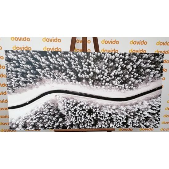 Obraz cesta cez zasnežený les v čiernobielom prevedení