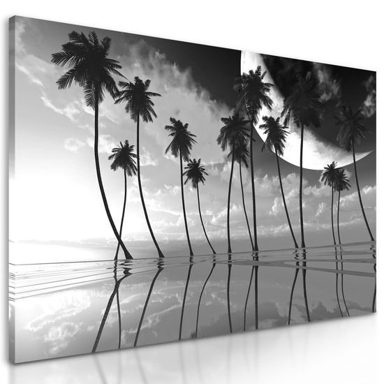 Obraz západ slnka v čiernobielom prevedení