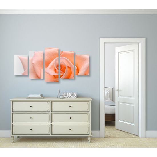 5-dielny obraz precízny detail na oranžovú ružu