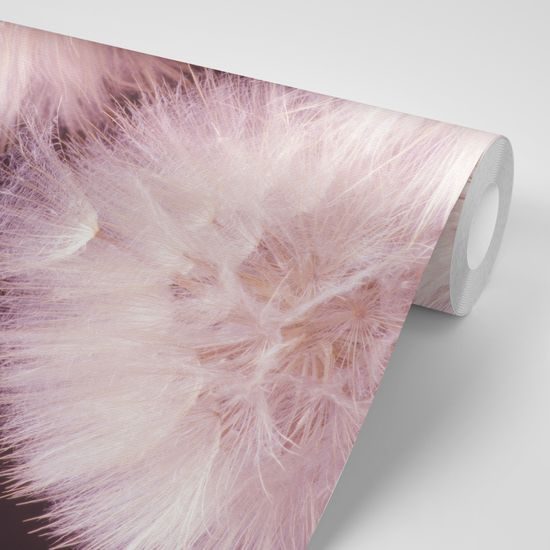 Samolepiaca fototapeta púpava s nádychom fialovej