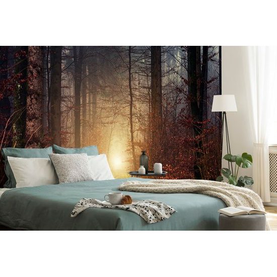 Samolepiaca fototapeta tajomný jesenný les