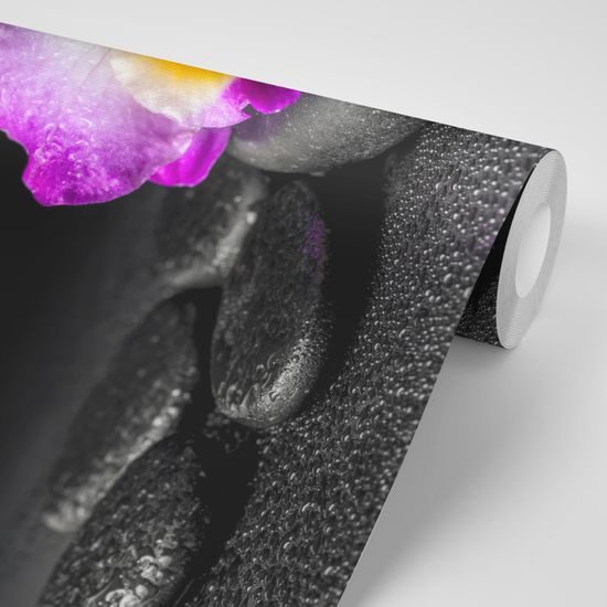 Tapeta relaxačné zátišie s orchideou