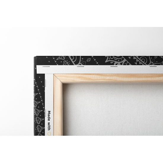 Obraz krásna čiernobiela Mandala