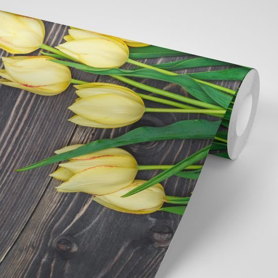 Samolepiaca fototapeta žlté tulipány v elegantnom prevedení