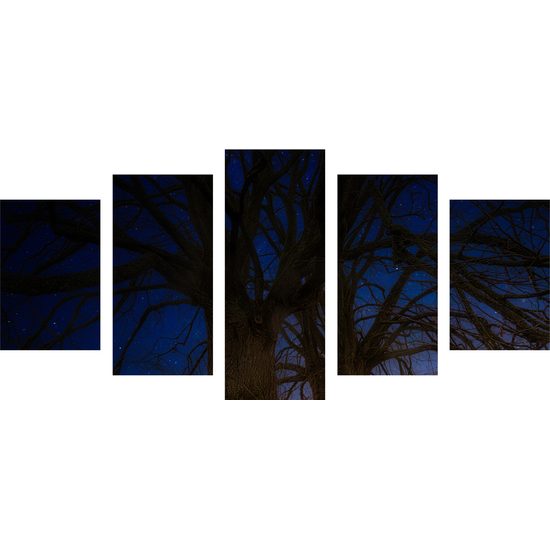 5-dielny obraz magické stromy pod nočnou oblohou