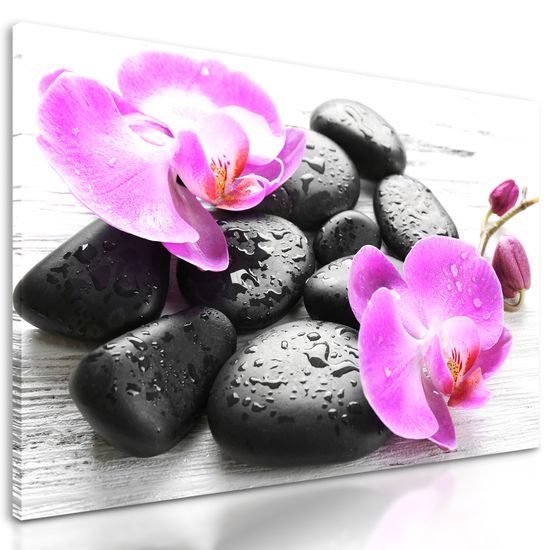 Obraz harmónia orchidey a kameňov