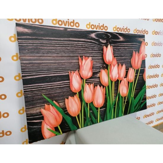 Obraz oranžové tulipány v jarnej záhrade