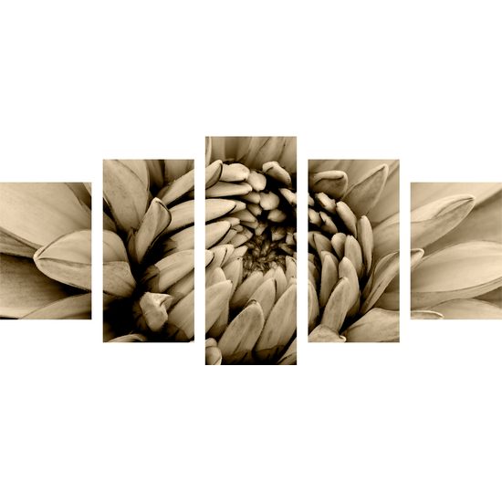 5-dielny obraz perfektný detail na kvet dálie v sépiovom prevedení