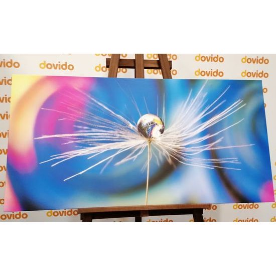 Obraz kvapka s zaujímavým pozadím