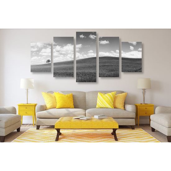 5-dielny obraz slnečný deň na lúke v čiernobielom prevedení