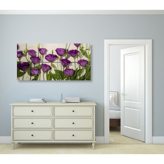 Obraz nádherné kvety s dreveným pozadím