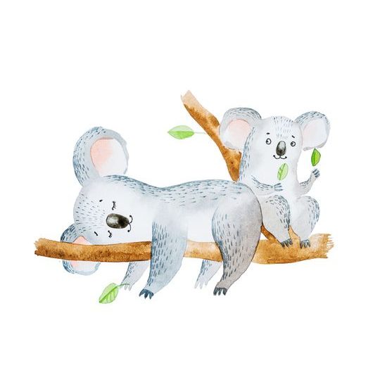 Samolepiaca tapeta zlaté koaly na konári