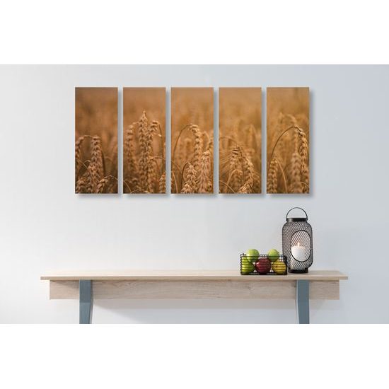 5-dielny obraz pšeničné pole