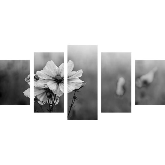5-dielny obraz kvitnúce lúčne kvety v čiernobielom prevedení