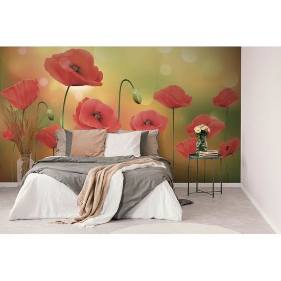 Samolepiaca tapeta maky na slnečnej lúke