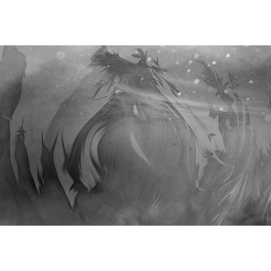 Obraz abstraktné znázornenie prírody v čiernobielom prevedení