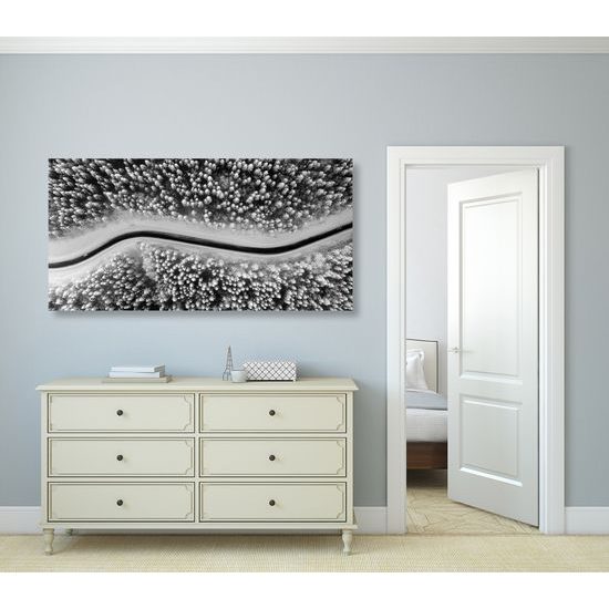 Obraz cesta cez zasnežený les v čiernobielom prevedení